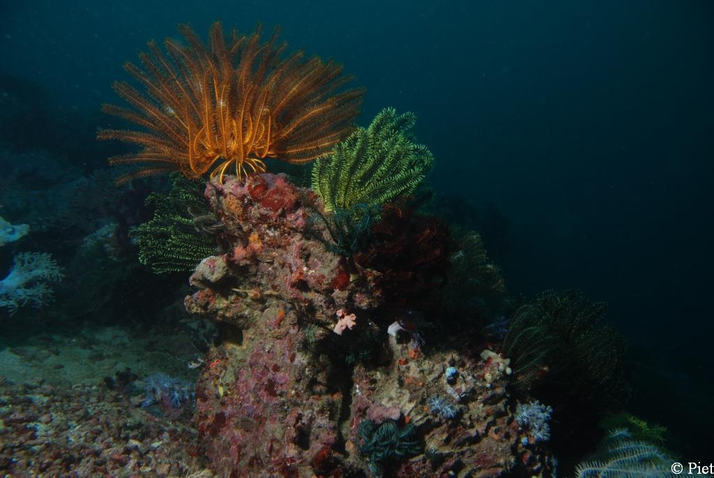 DSC_6000 (68)0047 